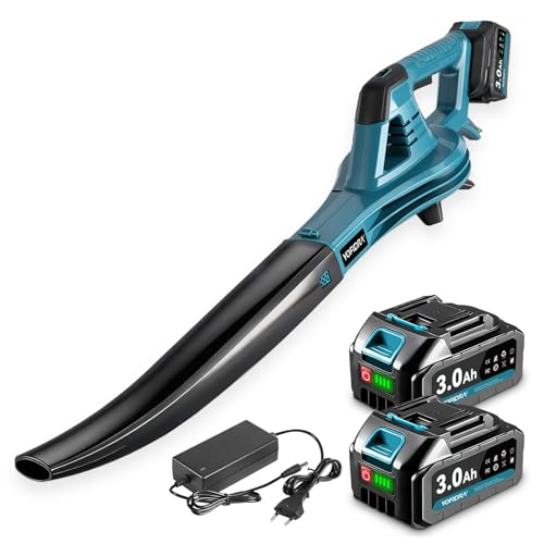 Yofidra Souffleurs de Feuilles, Souffleur sans Balais avec 2 Batteries