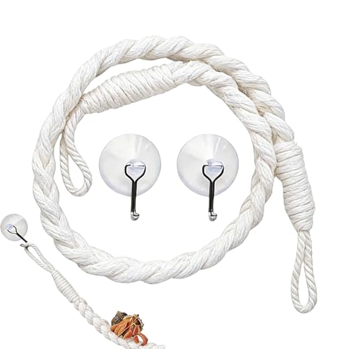 Jouets d'escalade pour crabe ermite – Fournitures pour animaux de compagnie à ventouse, accessoires de réservoir d'habitat pour crabes, reptiles, jouet d'escalade amusant, lézard, gecko, grenouille d'