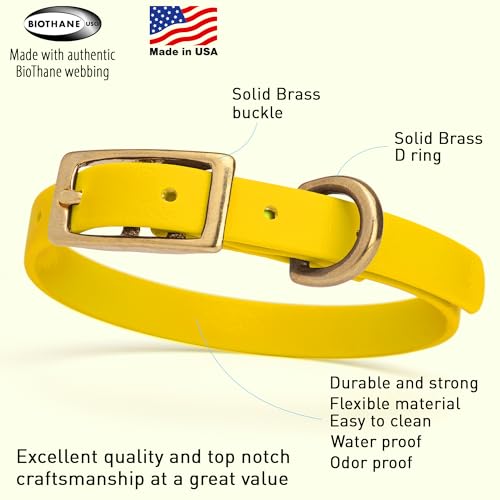 Image of Viper Biothane Heavy Duty Waterproof Dog Collar Strong Coated Nylon Webbing w /Solid Brass Hardware Odor-Proof Easy to Clean High Performance Fits Small Medium or Large Dogs, Lemon Yellow