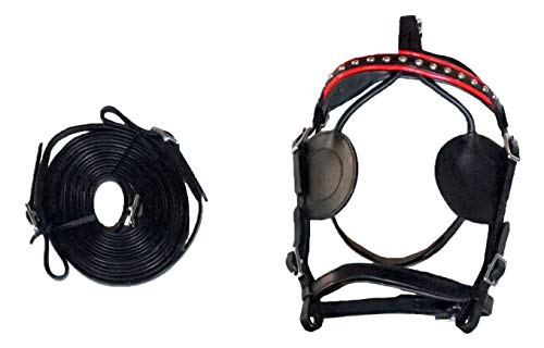 Equitem Black Leather Miniature Pony Driving Show Training Cart Harness with Red Trim Size A