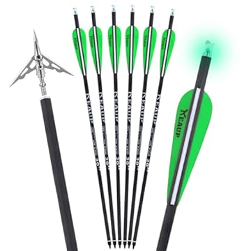 crossbow bolts with lighted nocks