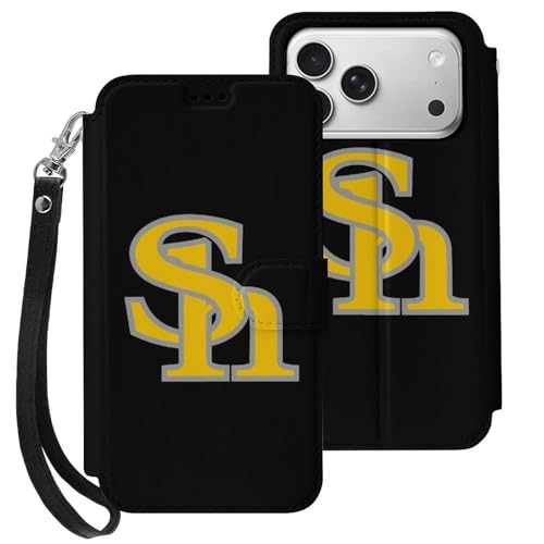 iPhone17ProP[X \tgoNz[NX 蒠^ ACtH17 PropP[X ݊̂ X}zP[X z^ PUU[ J[h[ X^h@\ Sʕی