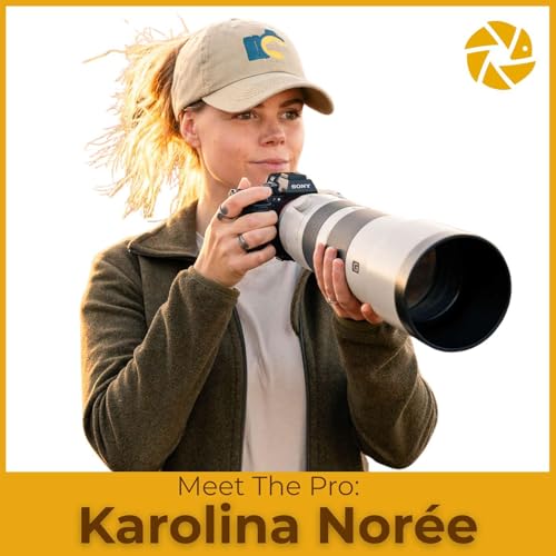 Meet the Pro: Karolina Norée cover art