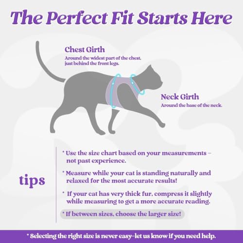 Image of rabbitgoo Cat Harness and Leash Set, Step-in Soft Vest, Purple | Escape Proof, Lightweight, Easy-on & Adjustable, Hook & Loop with Buckle, Reflective, for Kittens & Small Cats Walks, S