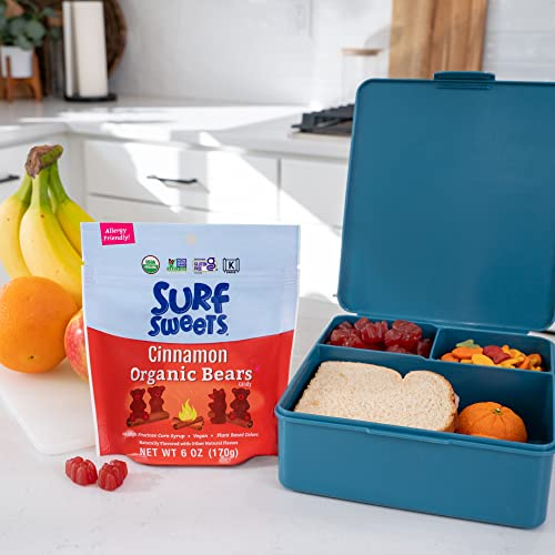 Surf Sweets Organic Bears, Cinnamon, 6 Oz Pack 8 miniatura 4