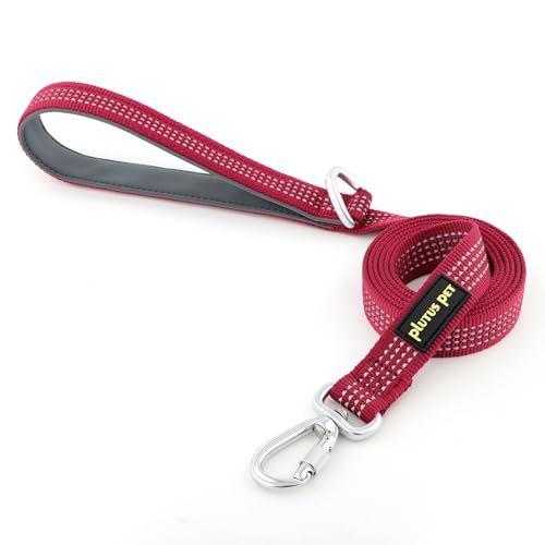 Plutus Pet Heavy Duty Dog Lead with Lockable Aluminum Carabiner, 4/6 Feet Long, Double-Sided Reflective Nylon, Padded Handle, for Puppy, Small, Medium and Large Dogs (Burgundy Red, 2.5 x 120cm)
