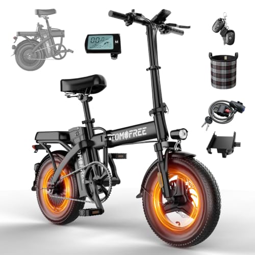P1 Pro Class 2 Folding Ebike