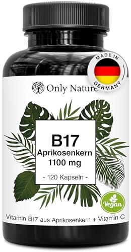Vitamin B17 aus Aprikosenkernen 1100 mg 120 vegane Kapseln + Vitamin C 100% Vegan & Ohne Zusatzstoffe Laborgeprüft Aprikosenkerne B17 Vitamin