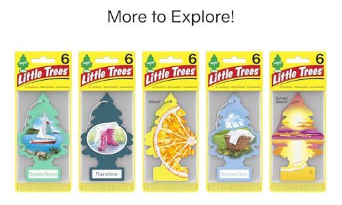Image of LITTLE TREES Air Fresheners Car Air Freshener. Hanging Tree Provides Long Lasting Scent for Auto or Home. Morning Fresh, 24 Air Fresheners (Pack of 6)