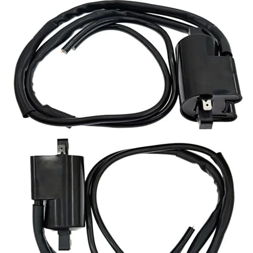 Motorcycle Ignition Coil 12V Compatible With Automotive Motorcycle Parts FZS1000 2001 2002 2003 2004 2005 FZS1000S 2003 2004 2005(2 Set)