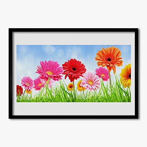 Affiche encadrée de qualité supérieure fleurs d'herbe Tulup 70x50