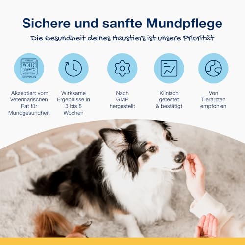 ProDen PlaqueOff Bites, Kauartikel für Zahnpflege Hund 60 g, Hunde Leckerlies zum Zahnbelag entfernen, Für kleine Hunde, Bei Plaque und für frischen Atem, Zahnreinigung Hund, Gemüse