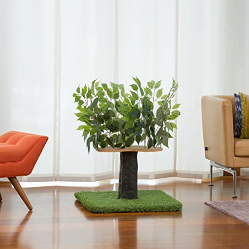 On2 Pets 2-Ft Cat Tree With Leaves Made In Usa, Cat House & Cat Activity Tree For Indoor Cats #TOP1