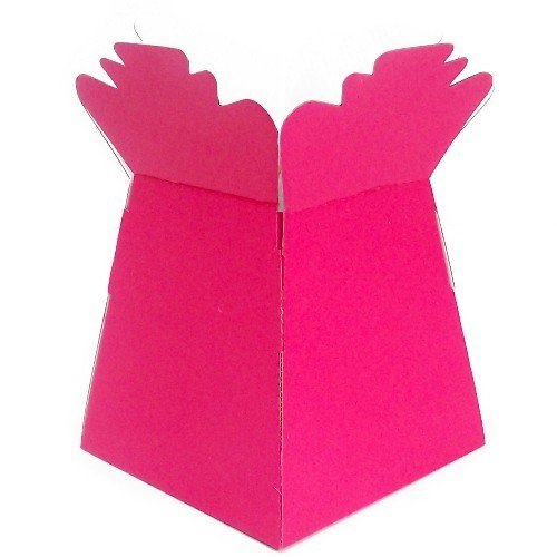 APAC Fuschia Living Vase Flower Box Flower Bouquet Transporter, Sweet Tree Box