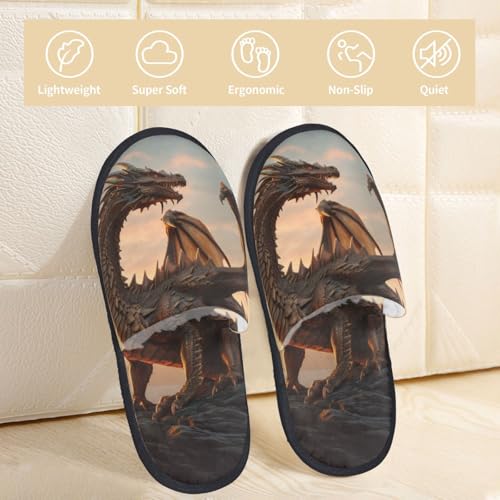 Sky Sunset Bronze Dragon Print Women Slippers Home Furry Shoes Keep Men Couples Shoes Warm For Women-3