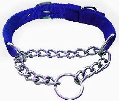 RvPaws Dog Choke Pet Nylon Half Chain Collar Half Choker Metal Dogs Collars X- Large Size (Blue, 1.5 Inch) (B09SWSFS6X) Amazon Price History, Amazon Price Tracker