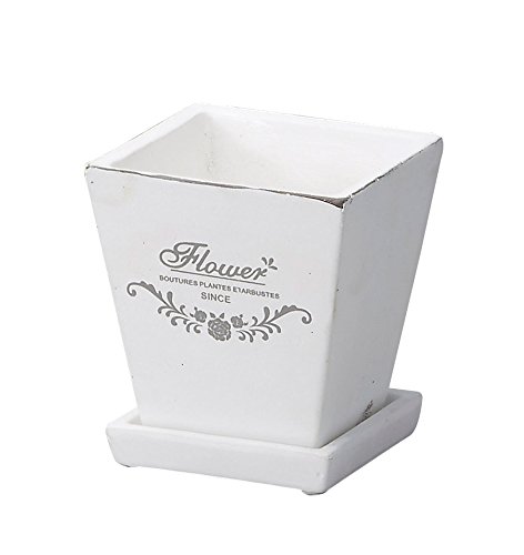 GC`c[I[ tOhXNGA|bgwr gPUTO