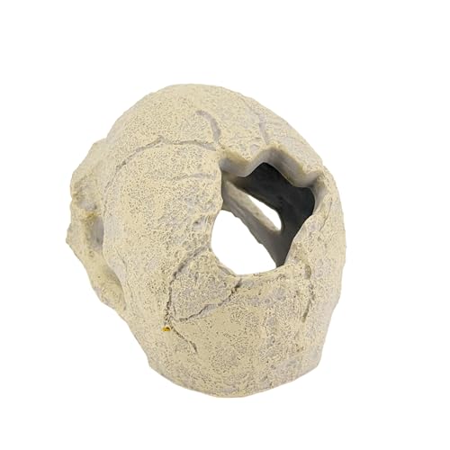 Image of CTWPets Aquarium Human Skull Decor for Betta Fish, Sinking Hide Shrimp Hide