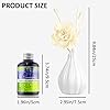 Amazon.com: ap airpleasure Reed Diffuser Set, Home Fragrance ...