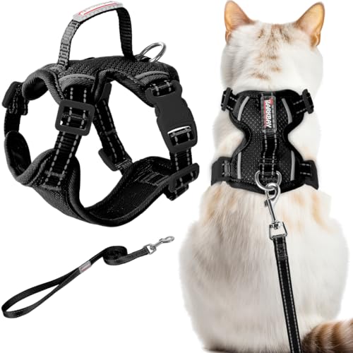 Cat Harness and Leash Set Escape Proof for Kitten Walking, Soft A...