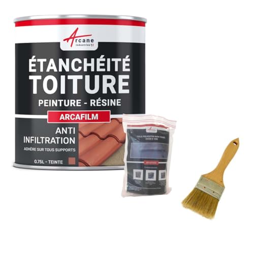 Réparation et étanchéité tuile, gouttière, cheneau, trou, fissure, souche, cheminée, ardoise : Arcafilm pack - 0.75 L (jusqu'à 0.5 m²) Tuile - ARCANE INDUSTRIES
