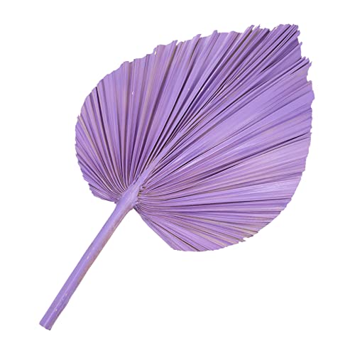 Cabilock Abanico De Totora Simulado Tallos Artificiales Ornamento Abanicos De Palma Seca Natural Hortensias Flores Artificiales Decoraciones Decoración De Hojas Secas Hoja De Palma Violet