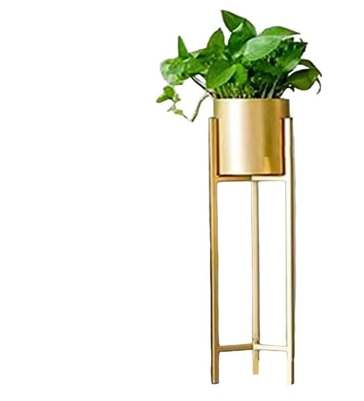 GIG Handicrafts Modern Metal Floor Flower Stands Planter Set. Crafted to elevate your living room or bedroom ambiance, this plant stands Gold 63 x 20 x 20cm (B0D5J132QK) Amazon Price History, Amazon Price Tracker