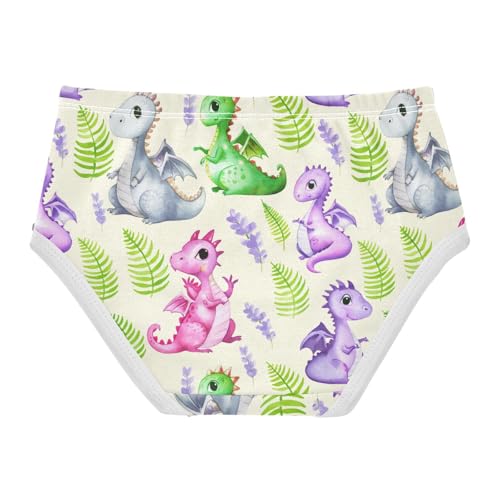 Joisal Cute Cartoon Dragons Beige Girls Underwear Toddlers 2t Cotton Cute Panties Girl Stylish Kids Undies Briefs2