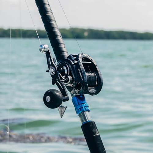 Image of Piscifun Alinox 400 Baitcaster Fishing Reel, 38Lbs Max Drag Aluminum Alloy Frame Baitcasting Reel, Available in 6.6:1 /8.1:1 Gear Ratio, Freshwater and Saltwater Low Profile Casting Reel for Musky