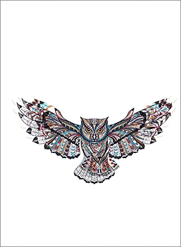 Flying owl on Wall Sticker (B09M3W5HW1) Amazon Price History, Amazon Price Tracker