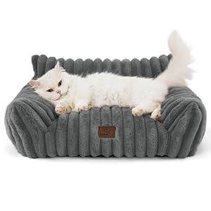 BEDSURE Katzenbett groß orthopädisches Katzensofa - 61x46x25cm Hundesofa kleine Hunde waschbar Katzencouch, rutschfeste Katzenbett flauschig, dunkelgrau