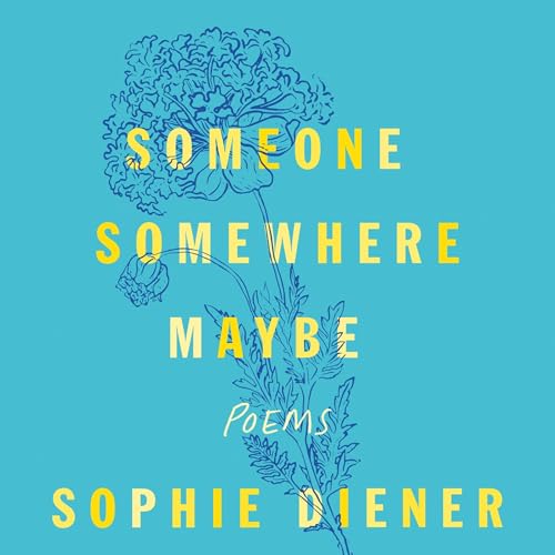 Someone Somewhere Maybe by Sophie Diener episode artwork