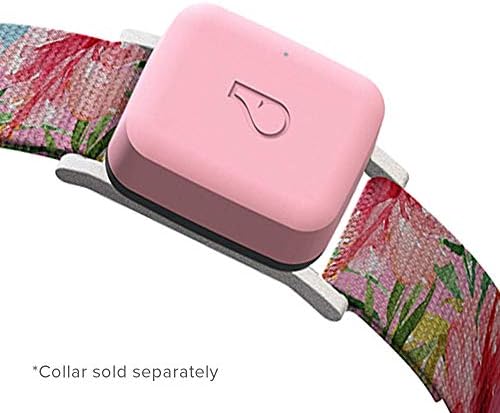 whistle go pet tracker