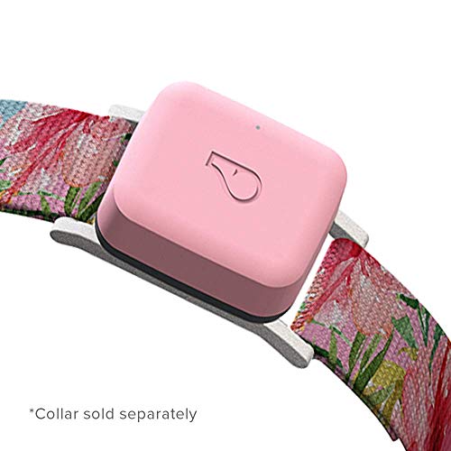 Whistle Go - Health & Location Tracker for Pets - Waterproof GPS Pet Tracker, 10 Day Battery, Pet Fitness Tracker fits on Collar or Harness - Blush Pink