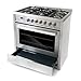 COSMO F965NF 36 in. Stellar Collection 3.8 cu. ft. Dual Fuel Range, 5 Sealed Burners, 8 Function Convection Oven in Stainless Steel