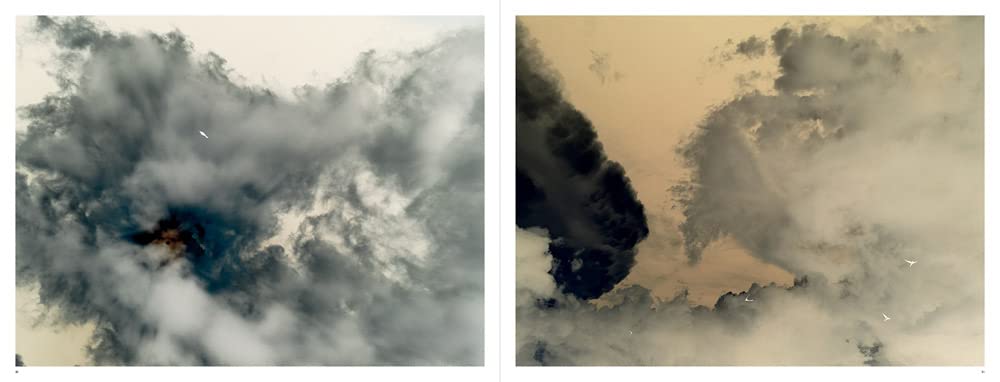 Richard Misrach Notations /anglais