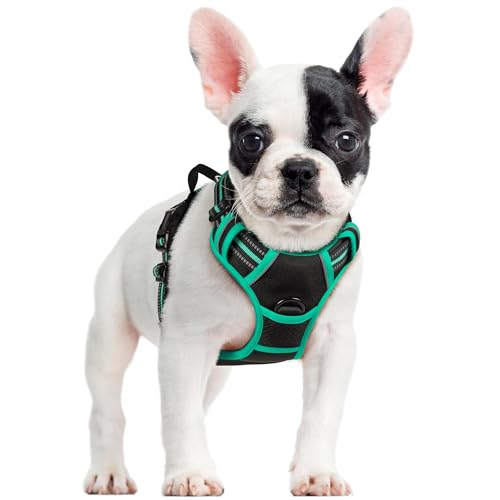 Image of rabbitgoo Dog Harness No Pull with 2 Leash Clips, Adjustable Soft Padded, Reflective Oxford No Choke Pet Vest with Easy Control Handle for Small Dogs, Black & Turquoise, S