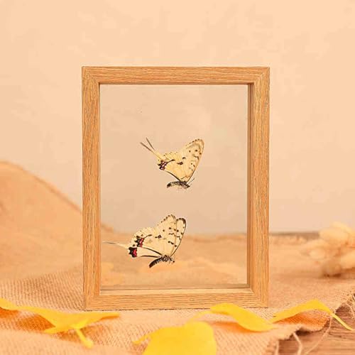 zA ʃtHgt[ }`J[ TCY(Wood Color,Square 7 inches)