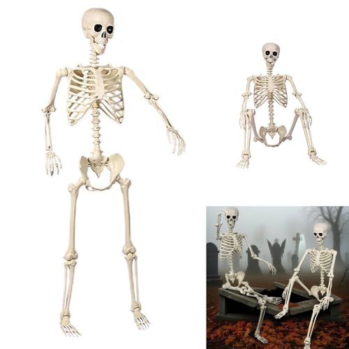 Zikynn Halloween Posable Skeleton - 5.4ft/165cm, Life-Size Human Skeleton with Full Body Articulation, Suitable for Indoor and Outdoor Halloween Props Decoration