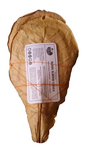 FarmCrane, 50 Almond Catappa Leaves, Standard size, 100% Naturally Aged (B07QR17B71) Amazon Price History, Amazon Price Tracker