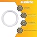 Sunlite 05010 FC8T9/WW 8-Inch T9 Round Fluorescent Circline Lamp, 22 Watts, 1250 Lumens, 3000K Warm White, RoHS Compliant, G10Q 4-Pin Base, 1 Pack