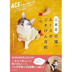 パピークラス&こねこ塾　スタートBOOK 【シュリンク付き】動物 パピークラス&こねこ塾 スタートBOOK 【シュリンク付き】動物