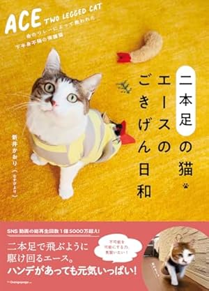 Amazon.co.jp: くるねこ番外篇 思い出噺 : くるねこ大和: 本