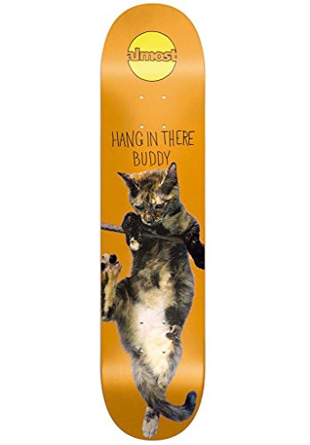 Skateboard planche Almost Hang in There Buddy deck orange de 20,3 cm