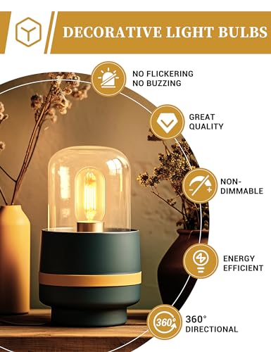 Image of 4 Pack LED Edison Bulbs, 4W Edison Light Bulbs, Antique LED Filament Bulbs 40W Equivalent, E26 Base, T45 LED Bulb with Clear Glass, Warm White 2700K, Non Dimmable, Great for Home, Bedroom, Office | 40W Equivalent,E26 Base,T45 LED Bulb with Clear Glass,Warm White 2700K,Non Dimmable,Great for Home,Bedroom,Office