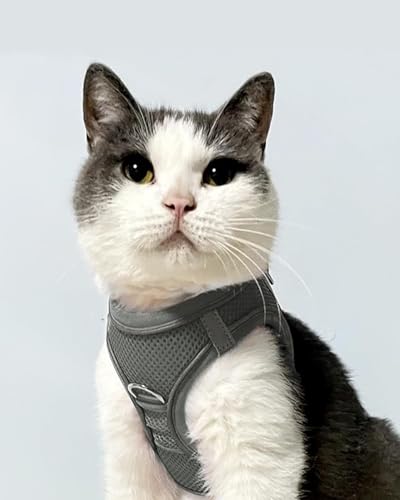 Joytale Hundegeschirr, Reflektierend Weich Gepolstert Hunde Geschirr, Air-Mesh Atmungsaktiv Brustgeschirr für Katze Welpen, Kleine Hunde, XXS, Grau