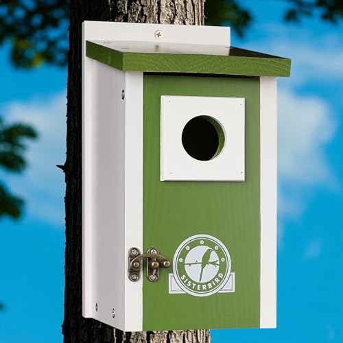 Bird-Houses-for-Outside-Lime-Green-Bird-House-Bluebird-Houses-for-Outside-Garden-Decoration-Birdhouses-for-Outdoors-Bluebird-Finch-Swallow-Wren-Chickadee Bird Houses for Outside Lime Green Bird House Bluebird Houses for Outside Garden Decoration Birdhouses for Outdoors Bluebird Finch Swallow Wren Chickadee