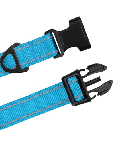 TagME Nylon Hundehalsband, Verstellbares Reflektierendes Hundehalsband mit Sicherheitsschnalle für Mittlere Hund, Himmelblau, 2.5cm Breite