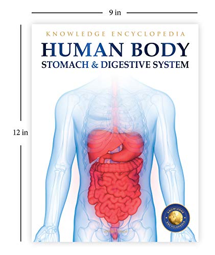 Image of Human Body - Stomach And Digestive System: Knowledge Encyclopedia For Children