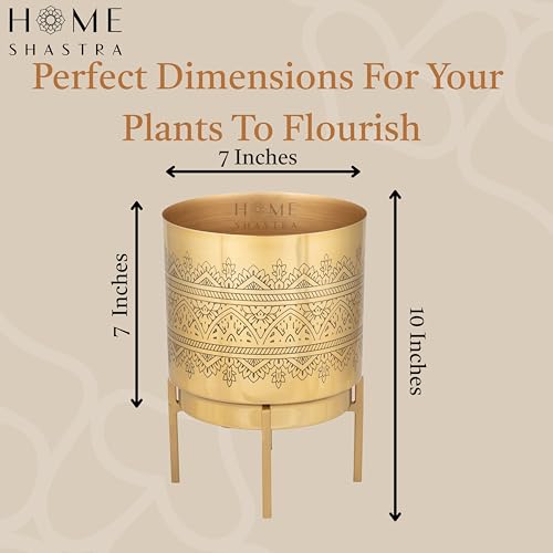 Image of Raaga Gold Metal Planters with Stand | Pack of 1| Planter - 10 Inch (Height) 7 inch (Diameter) | Planters for Living Room, Bedroom Decor (Pack of 1)